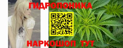 дживик Ставрополь