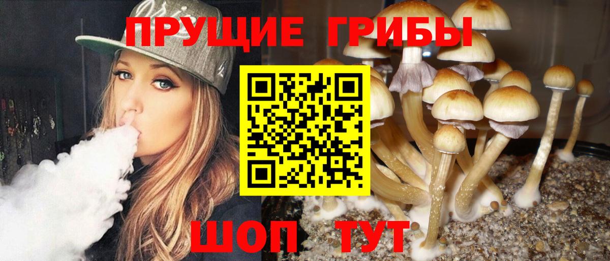 Псилоцибиновые грибы MAGIC MUSHROOMS  Галлюциногенные грибы Psilocybine cubensis  Орехово-Зуево  Вход с VPN 