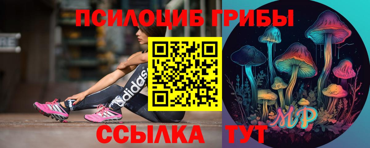 Псилоцибиновые грибы мицелий Орехово-Зуево
